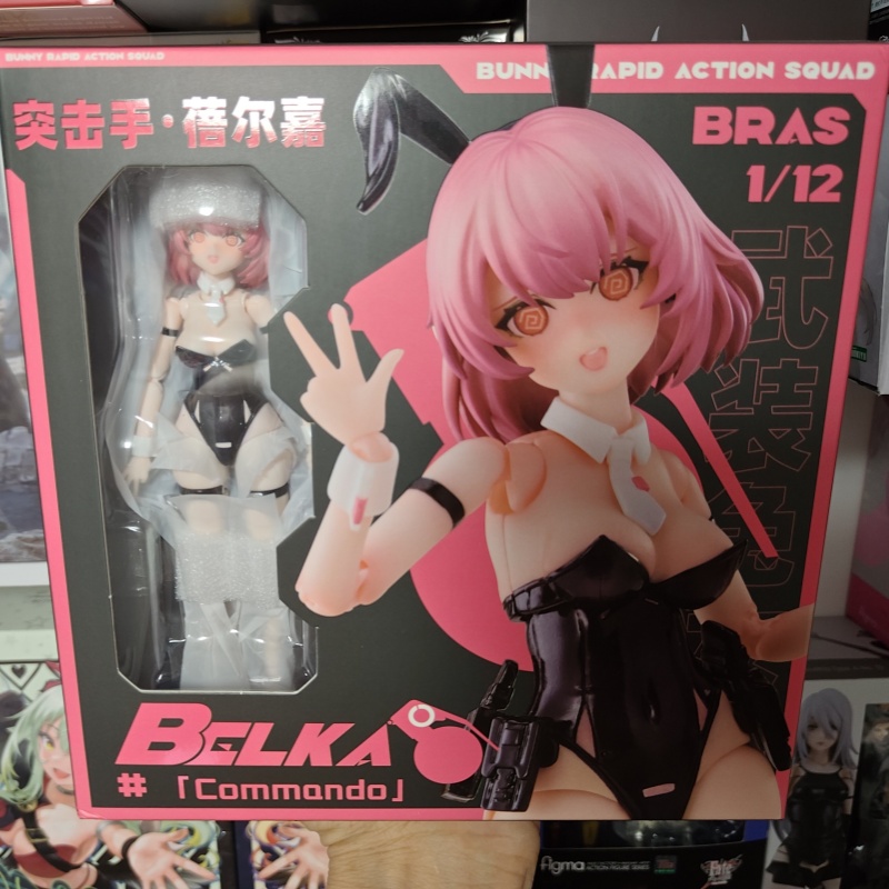 Model Kit Pg - In Stock Sushing 1/12 Bunny Rapid