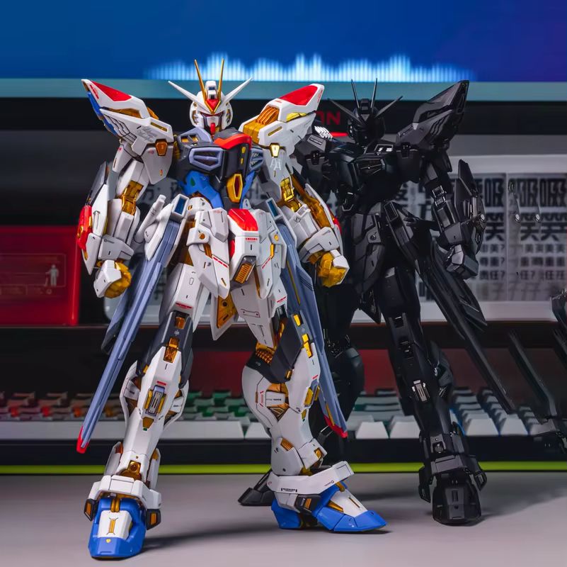 CHANGLONG Model 7701 MGEX ZGMF - Model Kit Pg 评论和价格