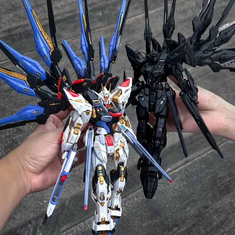 CHANGLONG Model 7701 MGEX ZGMF - Model Kit Pg 评论和价格