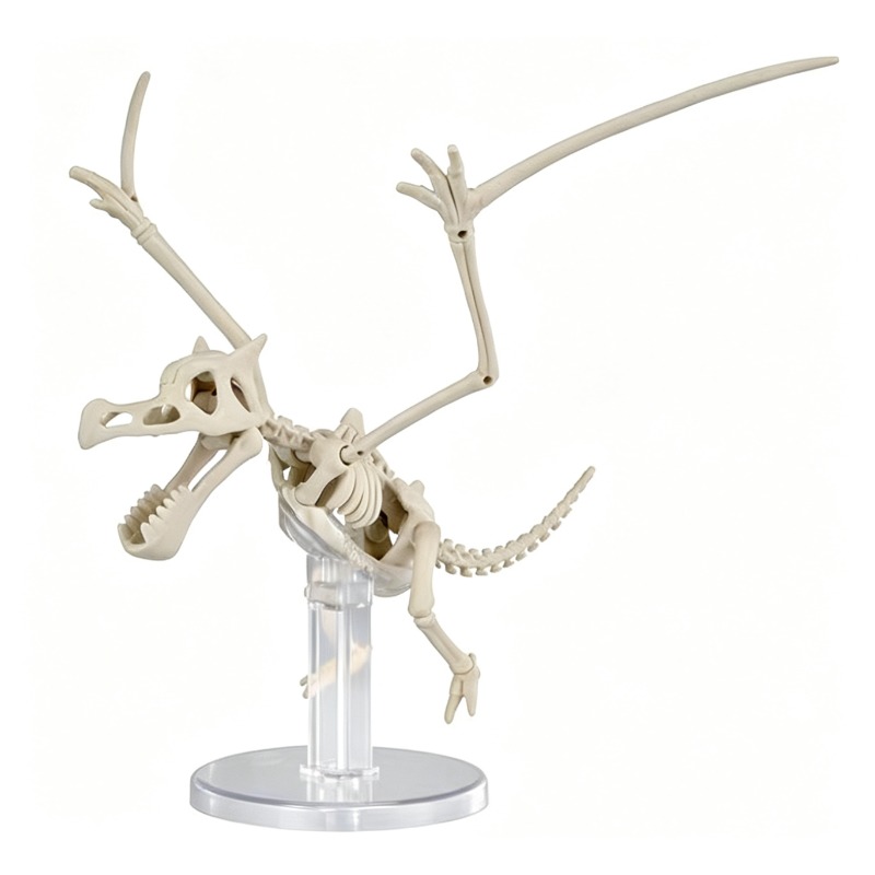 Bandai Pokemon Plastic Model D - Model Kit Kyogre 评论和价格